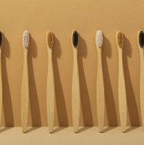 natural-brushes-arrangement-high-angle